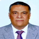 Mr. Mohamed Tantawy